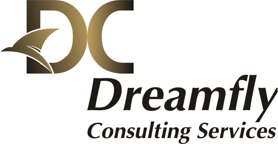 Dreamfly Consulting Services